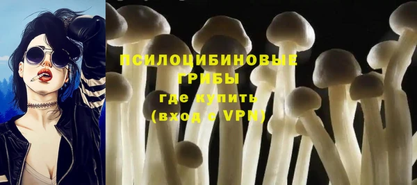 a pvp Анжеро-Судженск