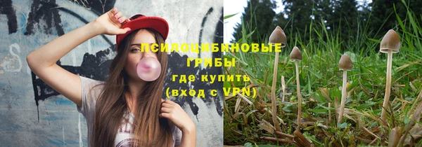 ГАЛЛЮЦИНОГЕННЫЕ ГРИБЫ Хотьково