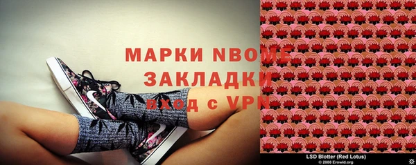 гашик Апатиты