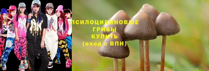 Псилоцибиновые грибы Psilocybine cubensis  darknet клад  Иркутск 