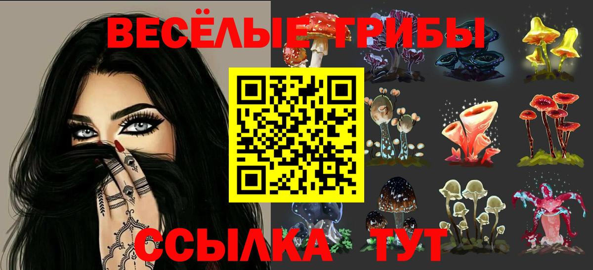 Галлюциногенные грибы GOLDEN TEACHER Иркутск