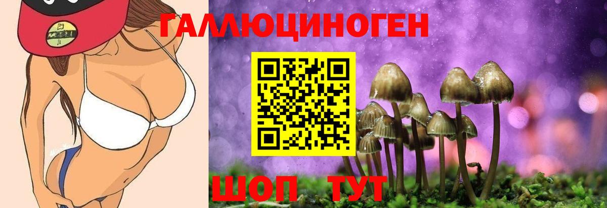 Галлюциногенные грибы GOLDEN TEACHER Иркутск